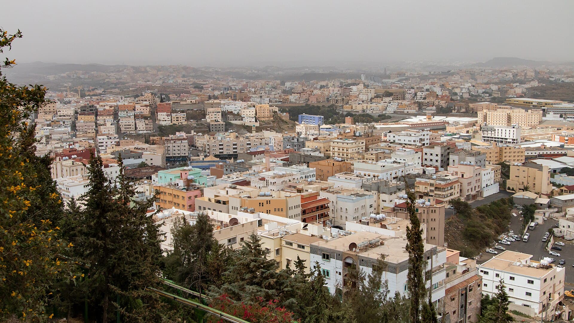 منظر علوي لمدينة أبها تظهر فيه مبانٍ متلاصقة بألوان فاتحة بين الأشجار وخلفها الجبال